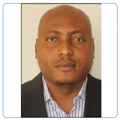 Northern Lights